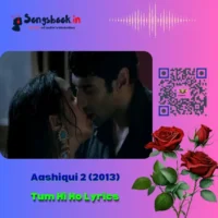 Tum Hi Ho Lyrics from Aashiqui 2-2013