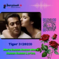 Mera Ruaan Ruaan Mera Ruaan Ruaan Lyrics from Tiger 3-2023